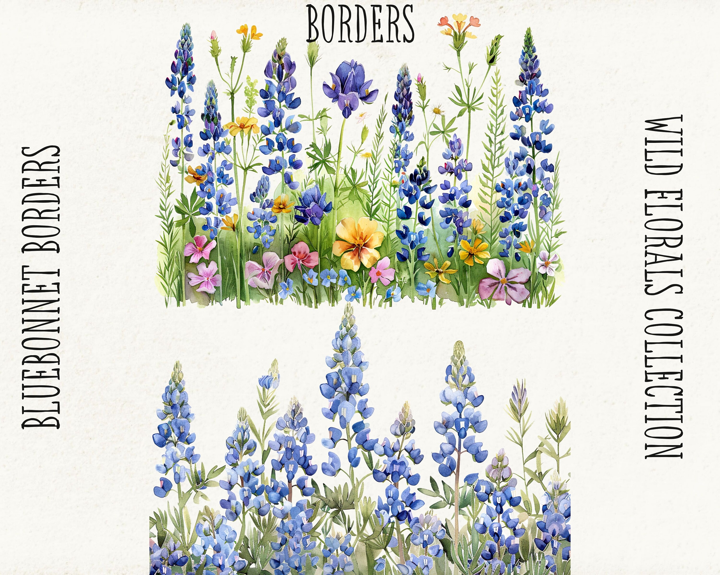 Bluebonnet Watercolor Clipart, Wild Floral Borders &amp; Bouquets ...