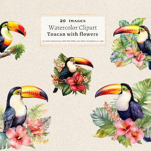 20 Toucan Watercolor Clipart, Toucan PNG, Toucan illustration, Toucan Watercolor, Tropical Birds Clipart, Jungle Birds, PNGs Bundle