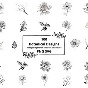 Botanical Svg Bundle, Floral svg, Flower Svg, Botanical Clipart, Flower Clipart, Floral Leaves and Branches svg, Commercial use