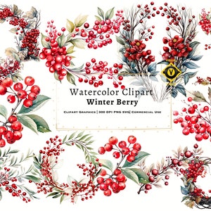 Clipart de aquarela de frutas de inverno, pacote de clipart de aquarela de decoração de Natal, clipart de aquarela de florais de Natal, PNG SVG de alta qualidade
