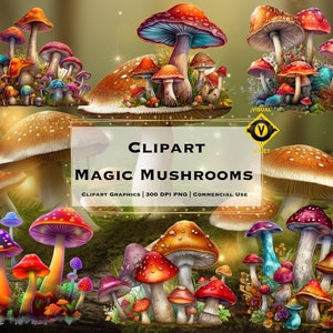 Colorful Mushroom Clipart, Magic Mushroom Clipart, Mushrooms PNG Bundle, Colorful Clipart Bundle, Clipart Mushrooms, Commercial Use