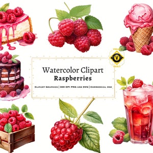 Clipart acquerello lamponi, pacchetto clipart lamponi, clipart digitale lamponi, clipart acquerello frutta estiva, PNG, SVG