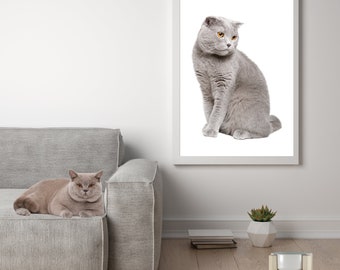 Ceramic Pet Bowl with raised Wooden stand