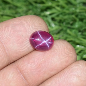 May include: A polished, oval-shaped ruby gemstone with a star effect. The gem is a deep red color with a six-rayed star pattern in white. The gemstone is held in a hand against a blurred green background.