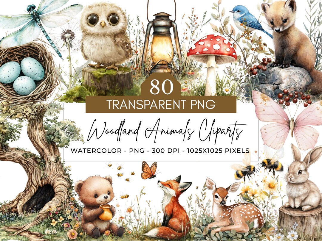 Watercolor Woodland Animals Clipart: 80 Forest Baby Illustrations - Etsy
