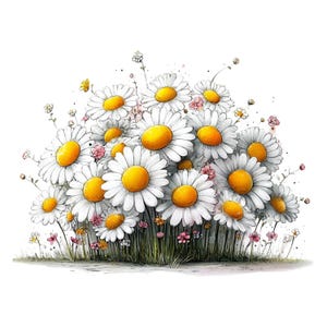 May include: A watercolour illustration of a collection of daisies. The flowers have white petals and yellow centres, with small pink flowers and green grass. The image is set against a white background.
