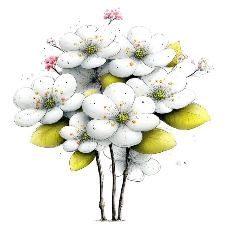 May include: A watercolour illustration of a bouquet of white flowers with yellow-green centres and accents. The bouquet includes green leaves and small pink buds. The stems are brown and the background is white.
