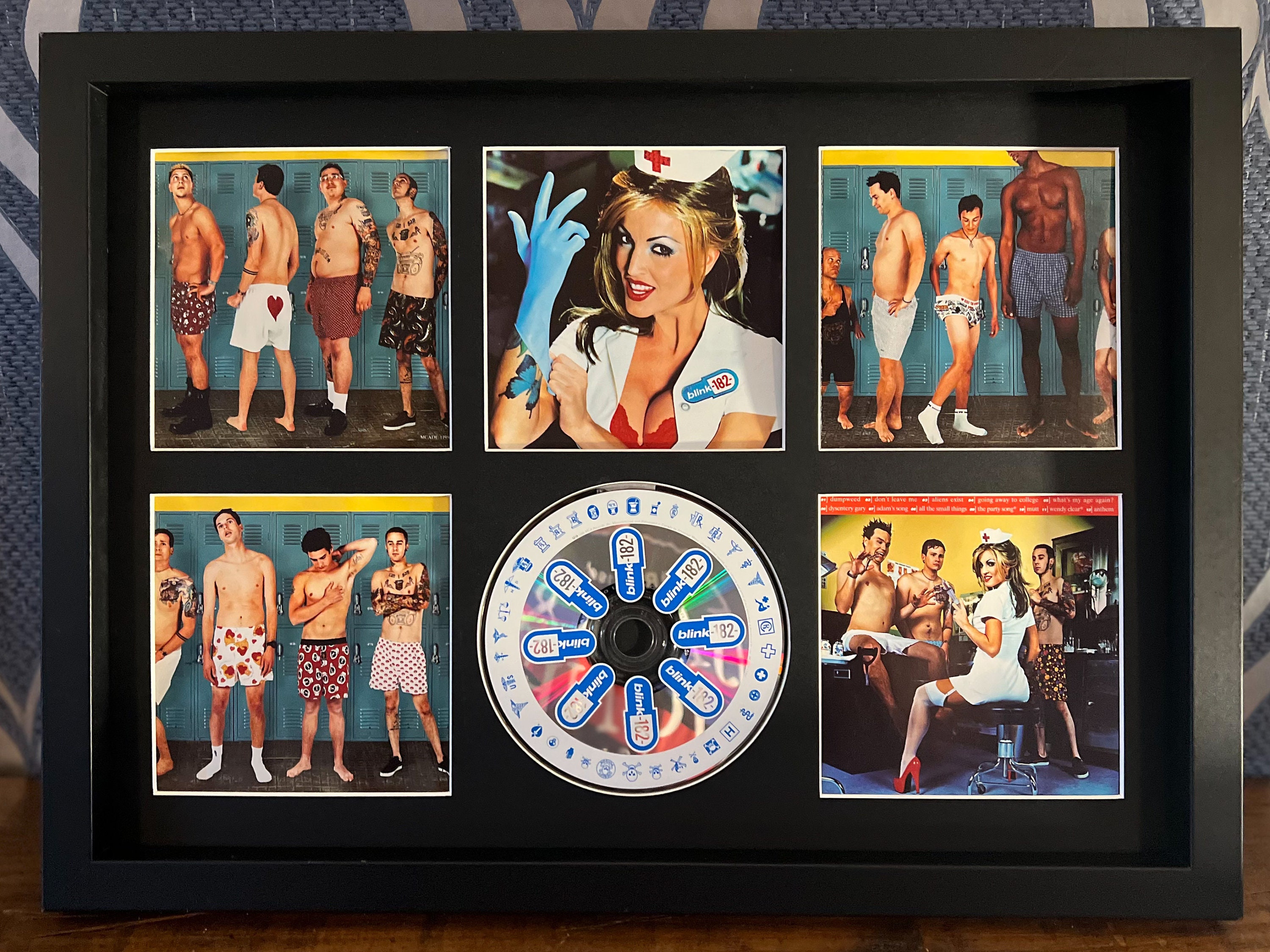 Blink 182 | Enema Of The State | CD Wall Display | Frame Not Included |