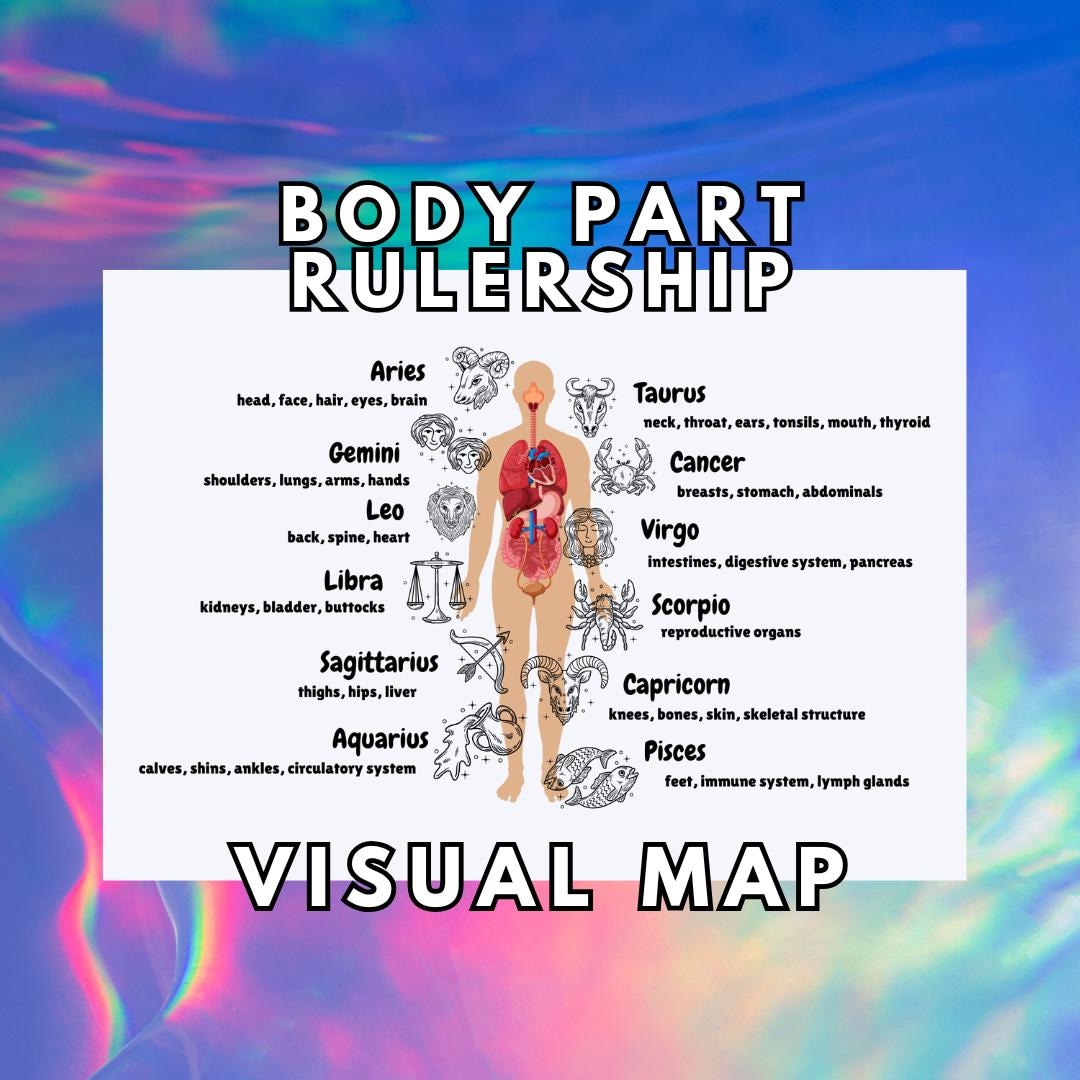 Astrological Body Part Rulership Art (signs) ~ Astrology Poster ...