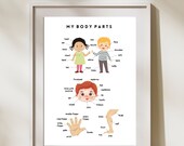 My Body Parts Poster, Toddler Printable, Toddler Wall Art, Body Parts Learning, Homeschooling, Toddler Playroom, Educational Poster