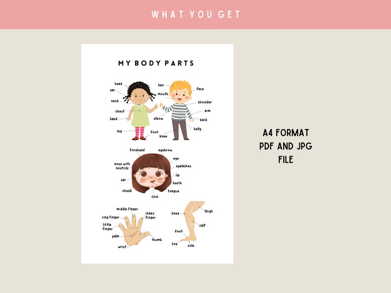 My Body Parts Poster, Toddler Printable, Toddler Wall Art, Body Parts ...