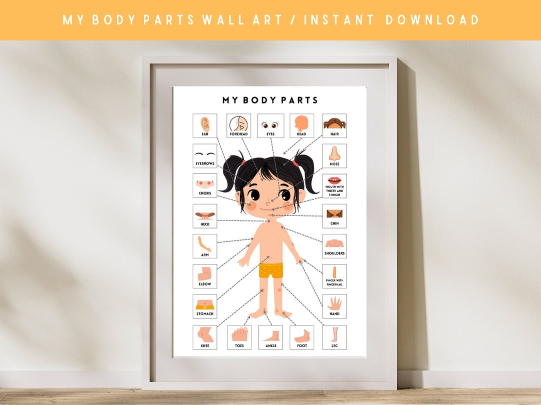 Body Parts, Printable Wall Art, Body Parts Poster, Homeschooling ...