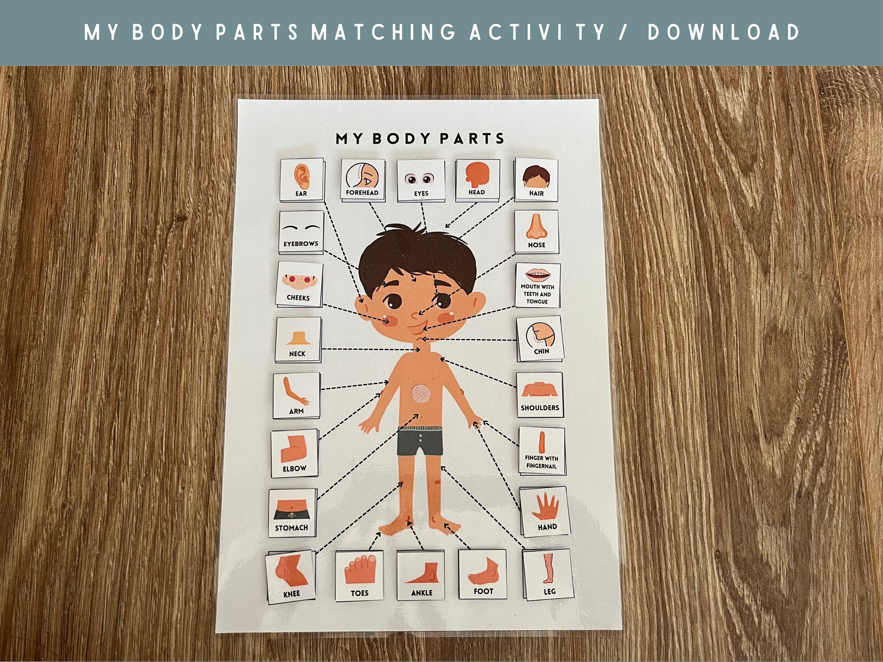 Body Parts Matching Activity Printable, Busy Book Pages, Toddler ...