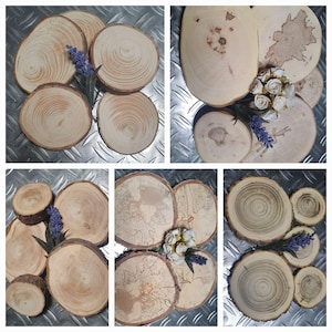 Geschuurde boomschijven 5–40 cm / houtschijven voor bruiloften, doop, verjaardagen, decoratie, knutselen, diverse houtsoorten, DIY