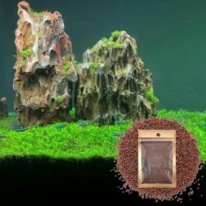 Small Leaf, Fresh Water Live Aquarium Plant Seeds, Easy Growing, Dwarf Carpet Decor for Fish Tank/Terrarium