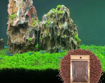 Dwarf Aquarium Carpet Seeds, Small Leaf, Freshwater Fish Tank Decor