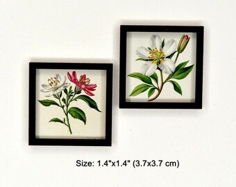Decoración de pared en miniatura para casa de muñecas. Cuadro enmarcado para casa de muñecas.