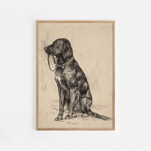 Black Labrador Art Print, Vintage Dog Painting, Antique Animal Portrait, Dog Sketch, Farmhouse Painting, Printable Art, Vintage Dog Print
