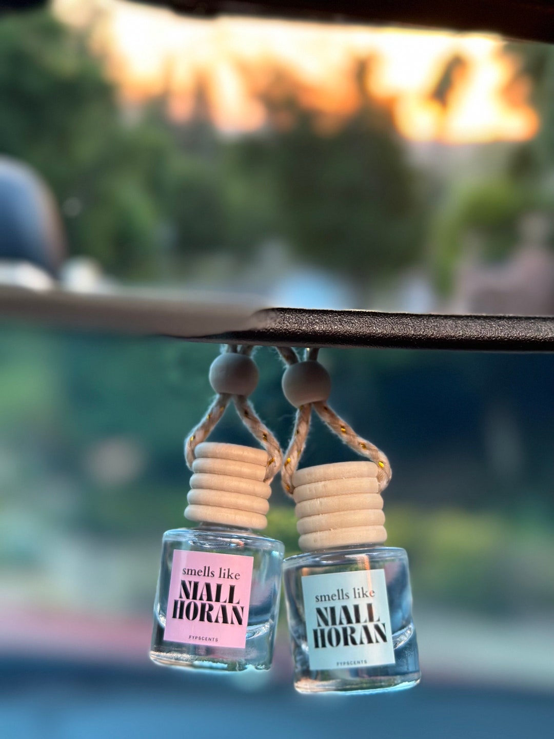 Smells Like Niall Horan Car Air Freshener, Gift for Bestie, Niall Horan
