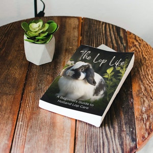 The Lop Life: A Beginner&#39;s Guide to Holland Lop Care