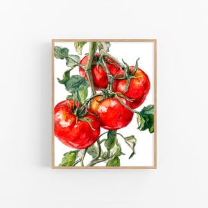 Tomato Watercolor Painting Botanical Kitchen Wall Art Red Vegetable Print Farm Garden Decor Rustic Wall Art by FeelingPrints