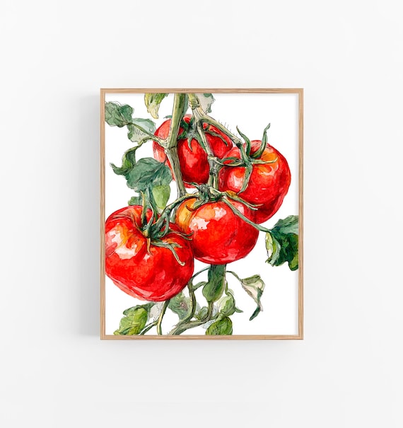 トマトの水彩画 ボタニカルキッチンウォールアート 赤い野菜のプリント