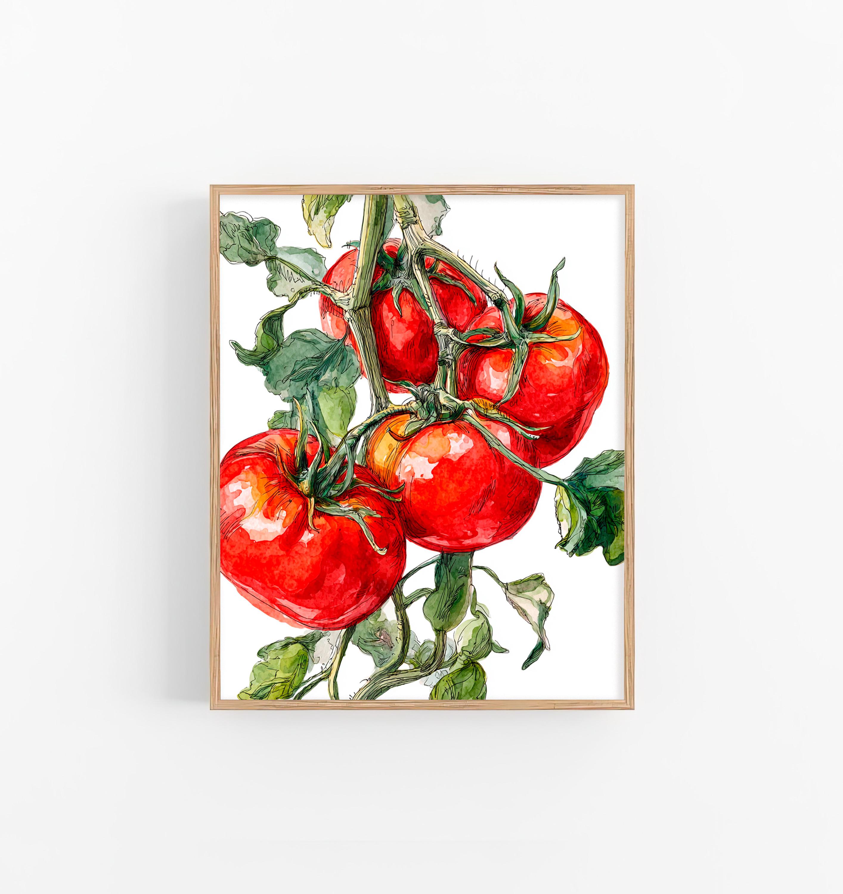 トマトの水彩画 ボタニカルキッチンウォールアート 赤い野菜のプリント