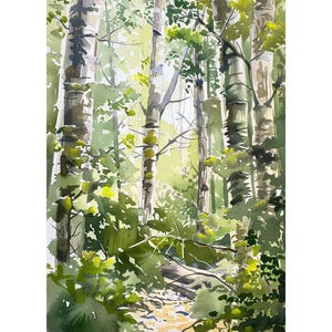 May include: A watercolor painting of a forest scene with tall trees and green foliage. The sunlight shines through the trees, creating a dappled effect on the forest floor.