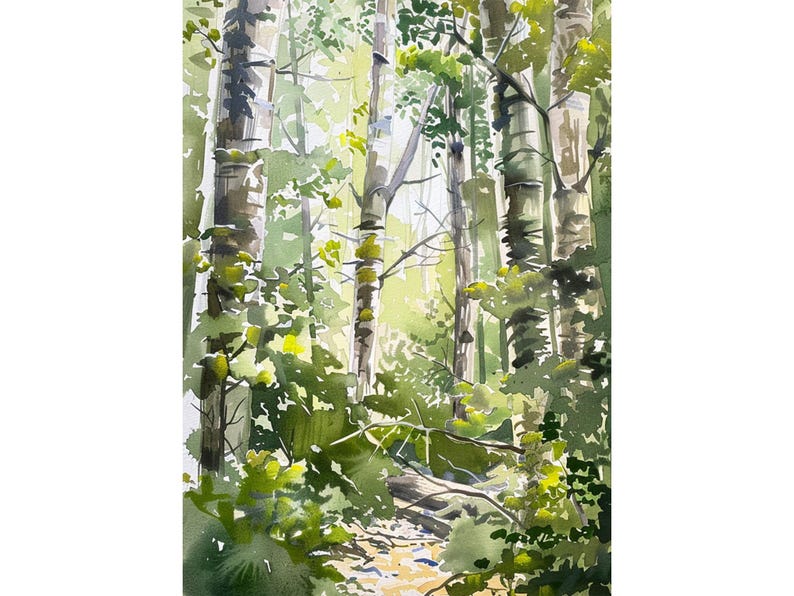 May include: A watercolor painting of a forest scene with tall trees and green foliage. The sunlight shines through the trees, creating a dappled effect on the forest floor.