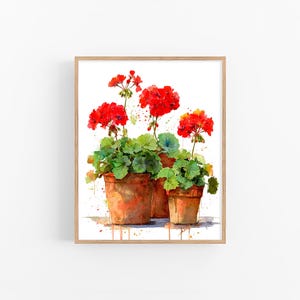 May include: Watercolor painting of three potted geraniums with vibrant red flowers and green foliage. The terracotta pots are arranged closely together, set against a white background, and framed in a light wood frame. The artwork captures the essence of a floral still life.