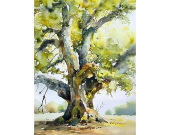 Oak Tree Watercolor Art Painting Louisiana Oak Park Painting Forest Artwork Travel Art Poster by FeelingPrints