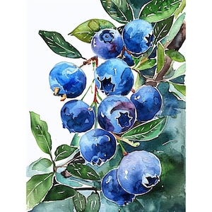 Blueberry Watercolor Painting Berry Art Print Floral Wall Art Print Kitchen Wall Decor by FeelingPrints