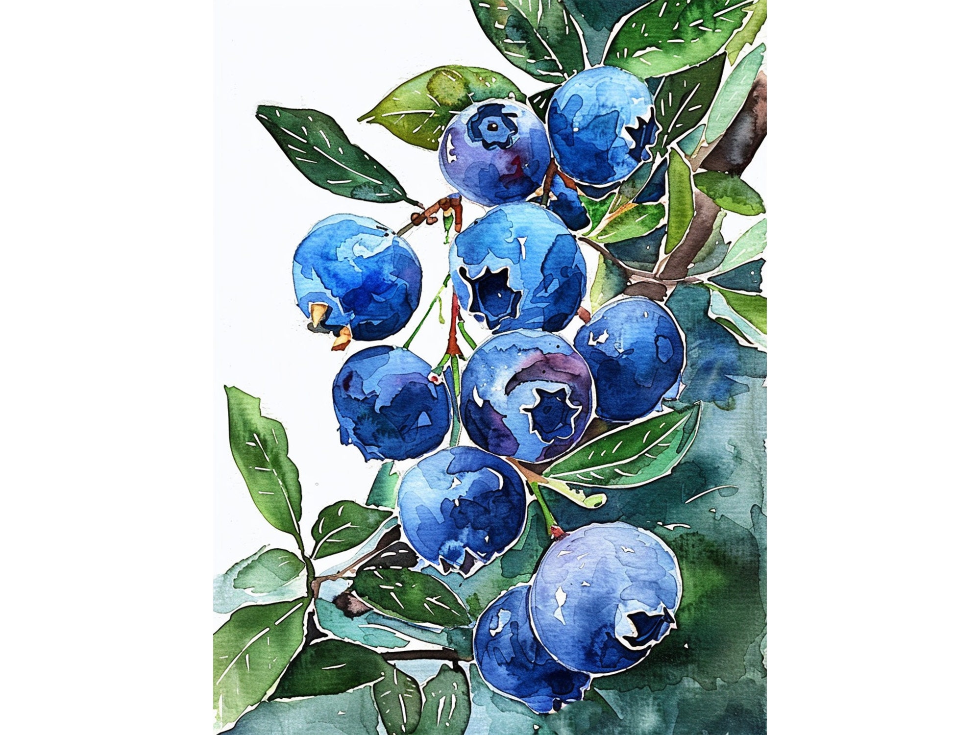 Blueberry Watercolor Painting Berry Art Print Floral Wall Art Print Kitchen Wall Decor by FeelingPrints