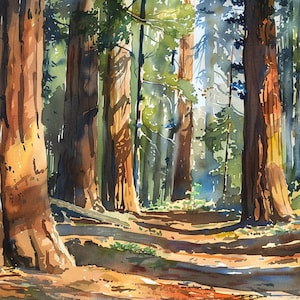 Puede incluir: Pintura a la acuarela de una escena de bosque con altos troncos de árboles marrones y follaje verde. La luz del sol se filtra a través de los árboles, creando sombras en el suelo del bosque. La obra captura la belleza natural de un entorno boscoso.