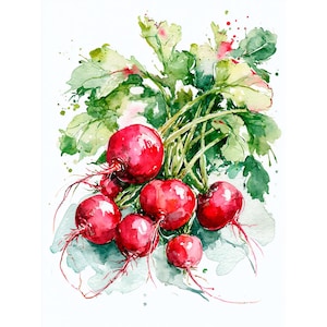 Pode incluir: Uma pintura em aguarela de um molho de rabanetes frescos com raízes esféricas de um vermelho vibrante e folhas verdes longas e exuberantes. A obra apresenta pinceladas expressivas, salpicos de tinta e vários tons de verde e vermelho.
