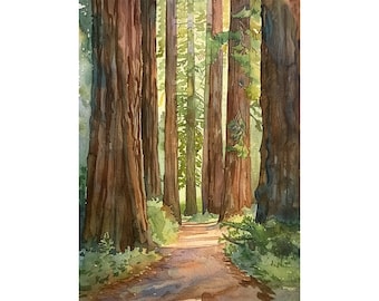 Redwood National Park Watercolor Art Print California Landscape Painting Redwood Trees Forest Artwork Travel Art Poster by FeelingPrints