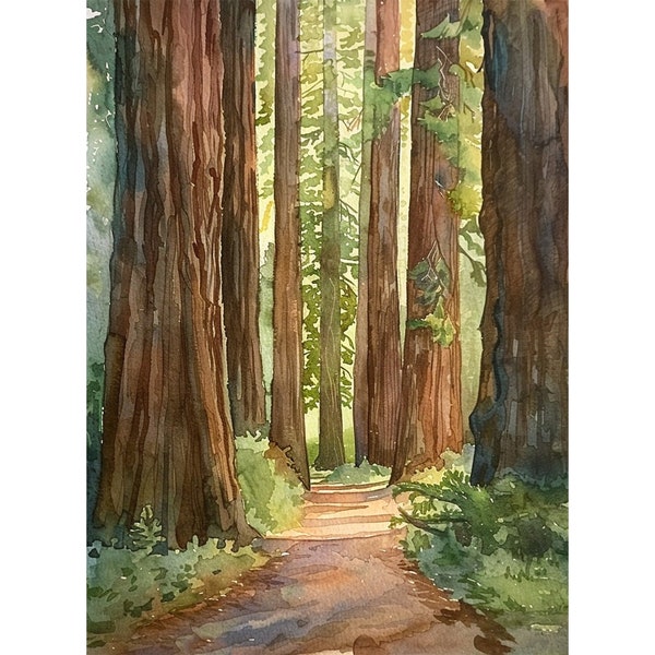 Redwood National Park aquarel Art Print Californië landschap schilderij Redwood bomen bos artwork reizen kunst poster door FeelingPrints