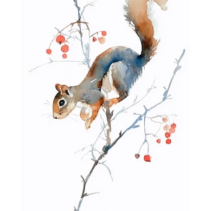 May include: Watercolour painting of a squirrel on a branch with red berries. The squirrel has brown, grey, and blue fur. The branches are grey, and the berries are red. The background is white.
