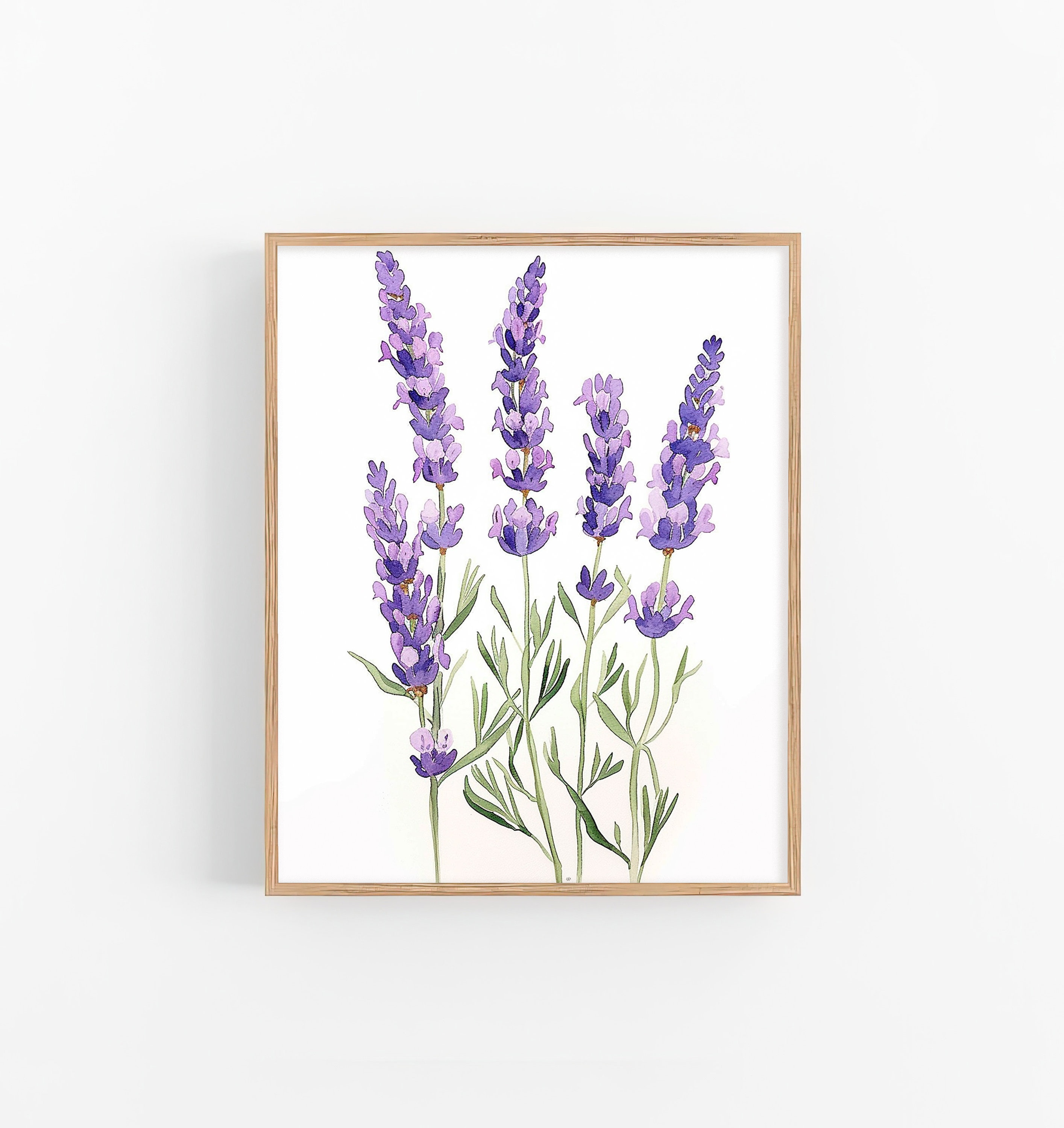 チエアートさん　光の扉(ラベンダー) 版画 ラベンダーの花の水彩画アートプリント トスカーナの花の絵画 花柄