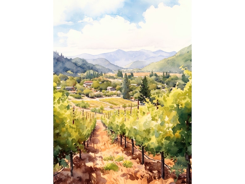 May include: A watercolor painting of a vineyard with rows of grapevines leading up a hill towards a valley with distant mountains. The sky is blue with white clouds.