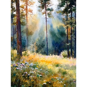 May include: A watercolour painting depicting a sunlit forest. The image shows tall, slender trees with brown trunks set against green foliage. Sunlight streams through the trees, illuminating the forest floor with yellow and white wildflowers.