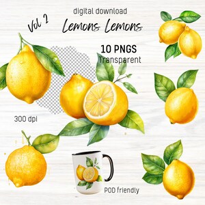 Limões para impressão em aquarela clipart 2, licença comercial verão PNG para casamento, boas-vindas, obrigado, calendário, camiseta, sacola, caneca personalizada