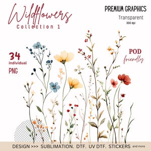 Imágenes prediseñadas de flores silvestres PNG, diseños de flores PNG, imágenes prediseñadas de flores silvestres con borde imprimible, póster de flores de boda, sublimación, diseños POD