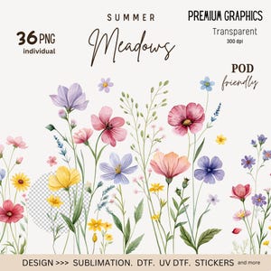 Disegni PNG di fiori di campo, disegni PNG di fiori, clipart di fiori di campo, poster di bei fiori estivi, sublimazione, disegni POD, commerciale
