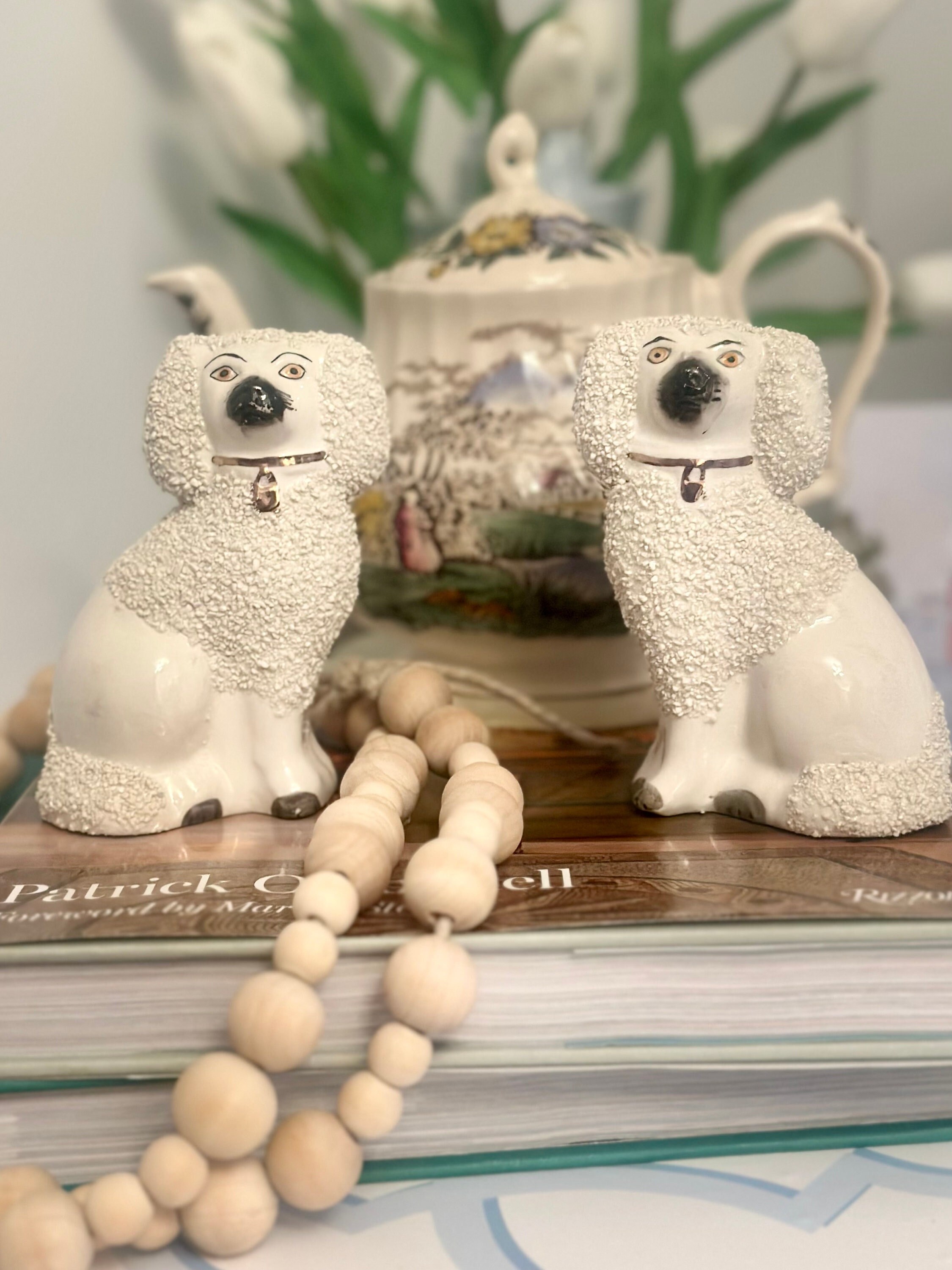 Confetti Poodle Staffordshire Pups Etsy