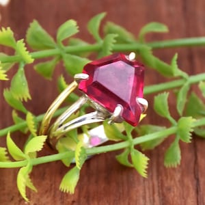 Könnte beinhalten: Ein silberner Ring mit einem goldenen Band trägt einen großen, facettierten, roten Edelstein. Der Ring ist vor einem Hintergrund aus grünem Laub platziert.