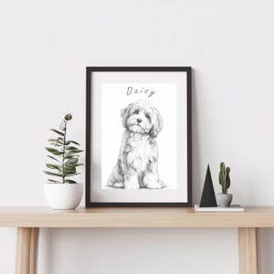 Op de afbeelding: Een zwart ingelijste kunstdruk met een gedetailleerde grafietpotloodschets van een pluizige hond die zit. De naam Daisy is in een cursief handschrift boven de kop van de hond geschreven. Het kunstwerk zit in een eenvoudige zwarte lijst.