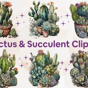 18 PNG Aquarelle Cactus Clipart - Succulent cactus du désert PNG format Téléchargement instantané pour un usage commercial