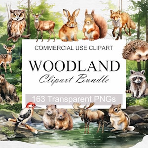 163 PNG Watercolor Woodland Animal Clipart, Woodland nursery decor,Digital Clipart Download Art Bundle 300 DPI PNG Sublimation Design Bundle