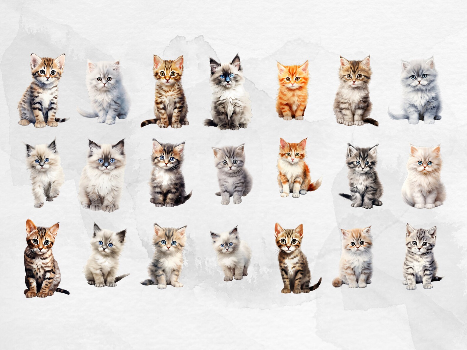 Cat Breeds PNG Bundle - 21 Cats Clipart Pngs Cats Clipart Animals ...